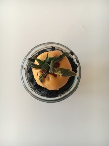 coming up carrots, Schokoküchlein mit Erdbeeren