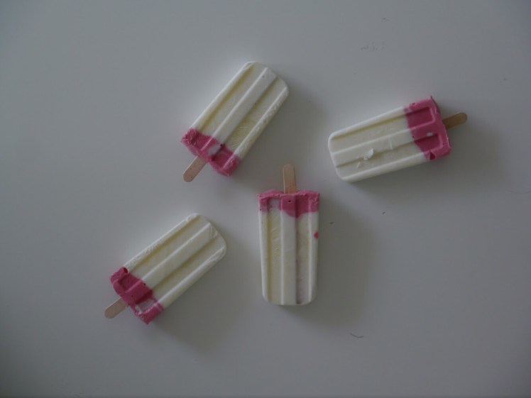 Joghurt Rhabarber Eis Pops