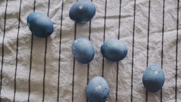 Ostereier mit Rotkohl gefärbt