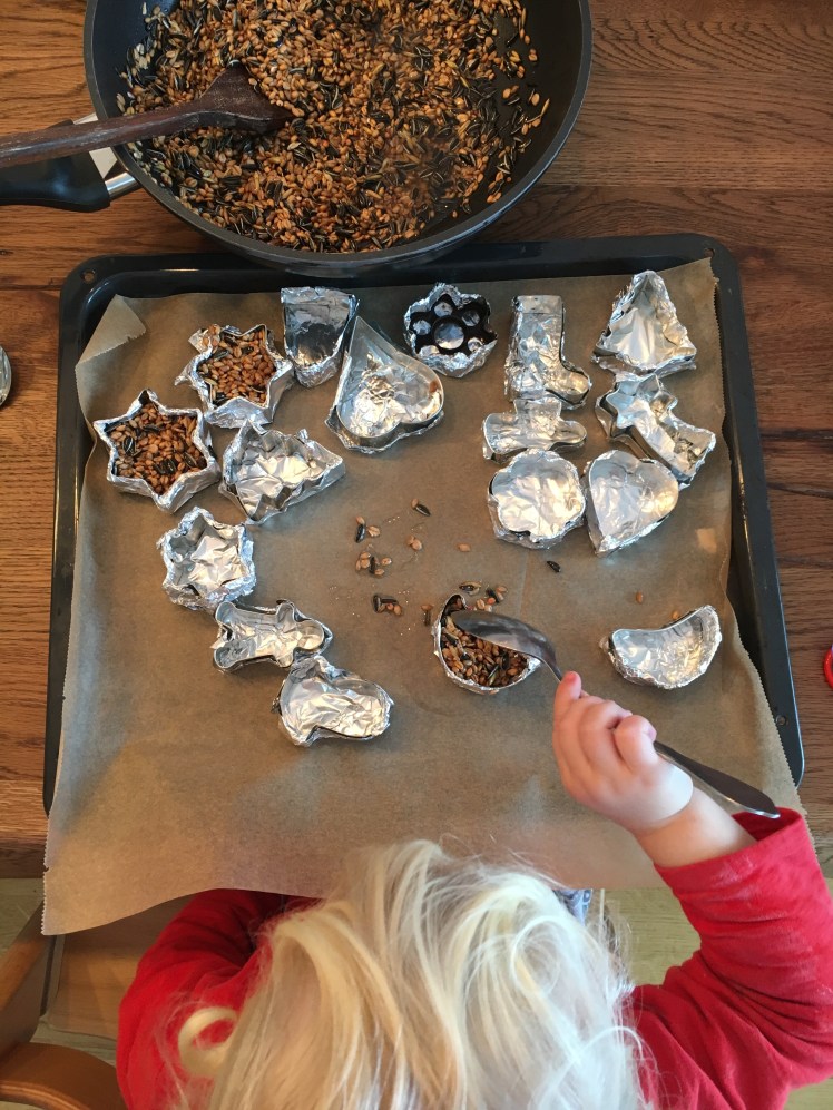 selbstgemachtes Vogelfutter