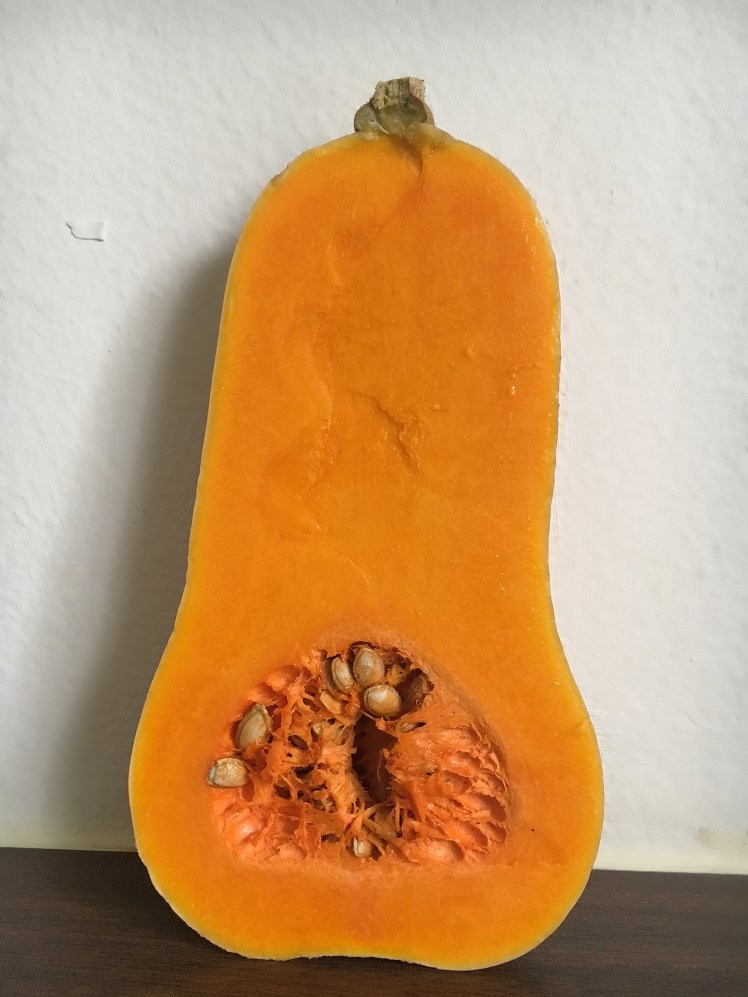 Butterkürbis