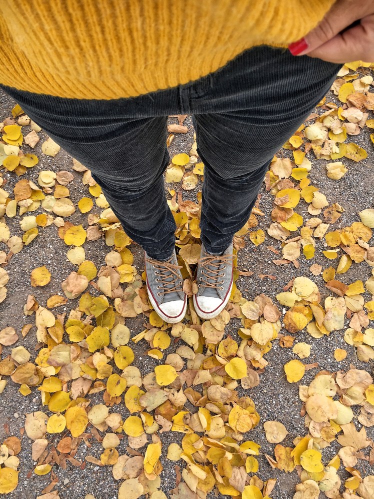 Cordhose Herbsttrend 2018